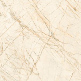 Gạch lát sàn Trường Thịnh BURGUNDY TT66019